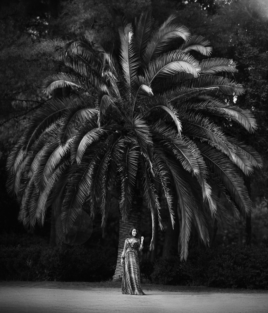 royal photographer fashion portrait girl princess